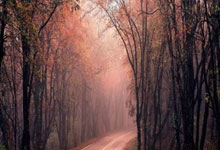 徐一璠／杨钊煊组合逆转晋级澳网女双第二轮央视体育.