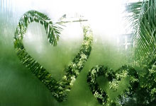 巅峰国际官网：四川山体滑坡失联人数更新，救援工作紧张进行.