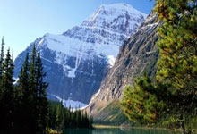 巅峰国际官网：蓝军名宿：2026年世界杯不需要C罗，他可能要等到梅西退役才退役.