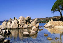 巅峰国际官网：经纪人：利物浦去年确实有意小蜘蛛；未来？现在不适合谈论.